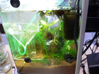 �����֤����