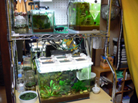 ���女���ʡ�