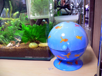 �������ʱ�Ȣ