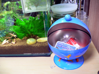 �������ʱ�Ȣ