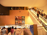  ���������������衹�Ծ�� 