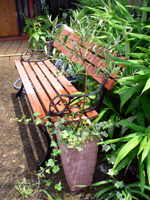  ���꡼�֤��� 