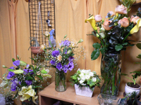  �֤Ǥ��äѤ� 