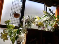  �ˤ����� 